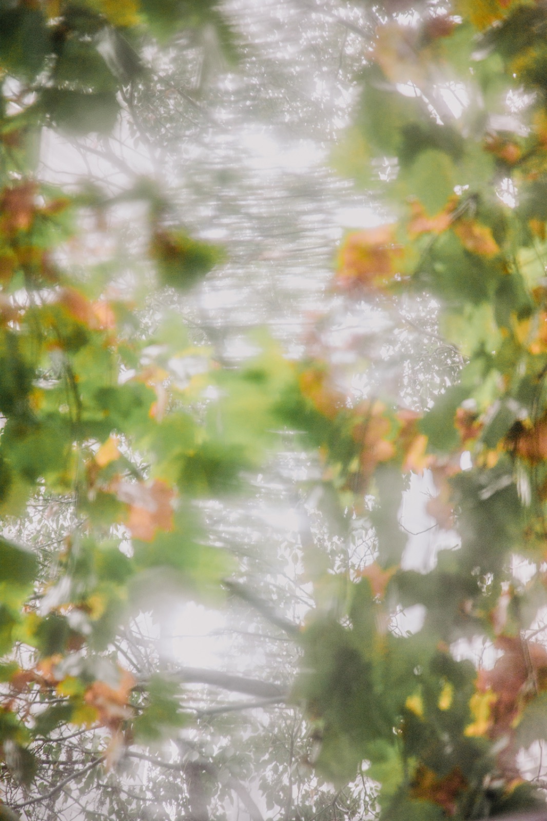 biophilia 48