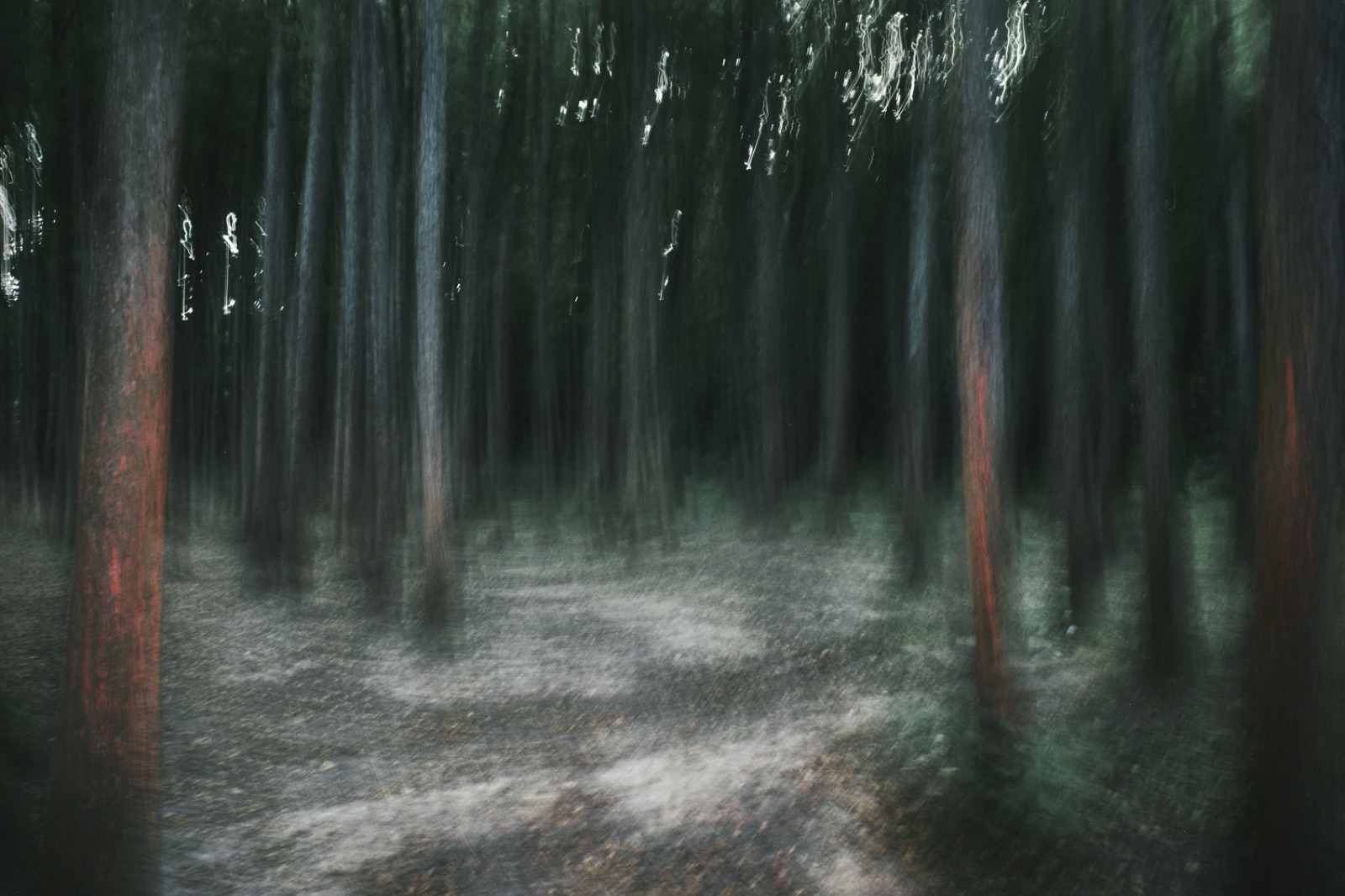 biophilia 65