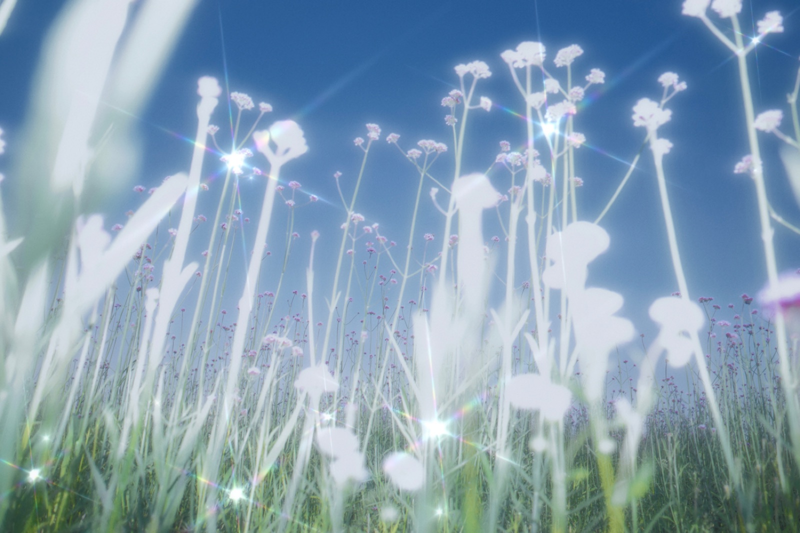 biophilia 68