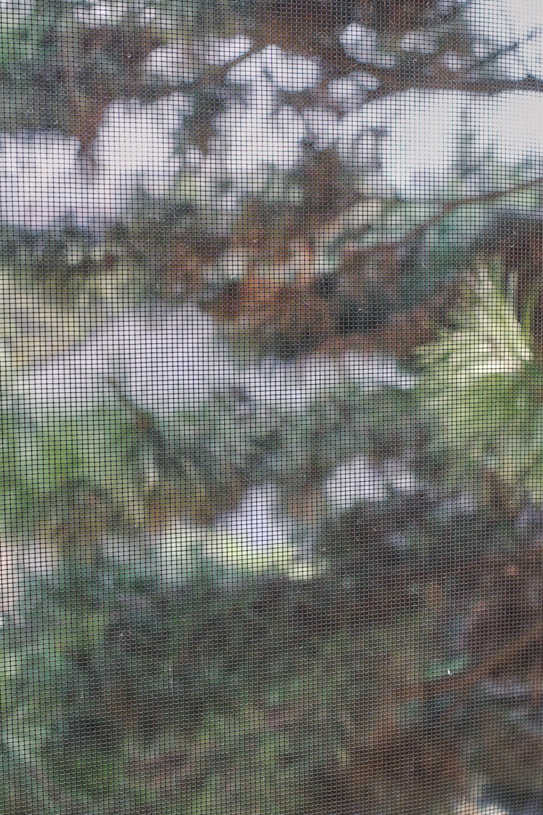 biophilia 70