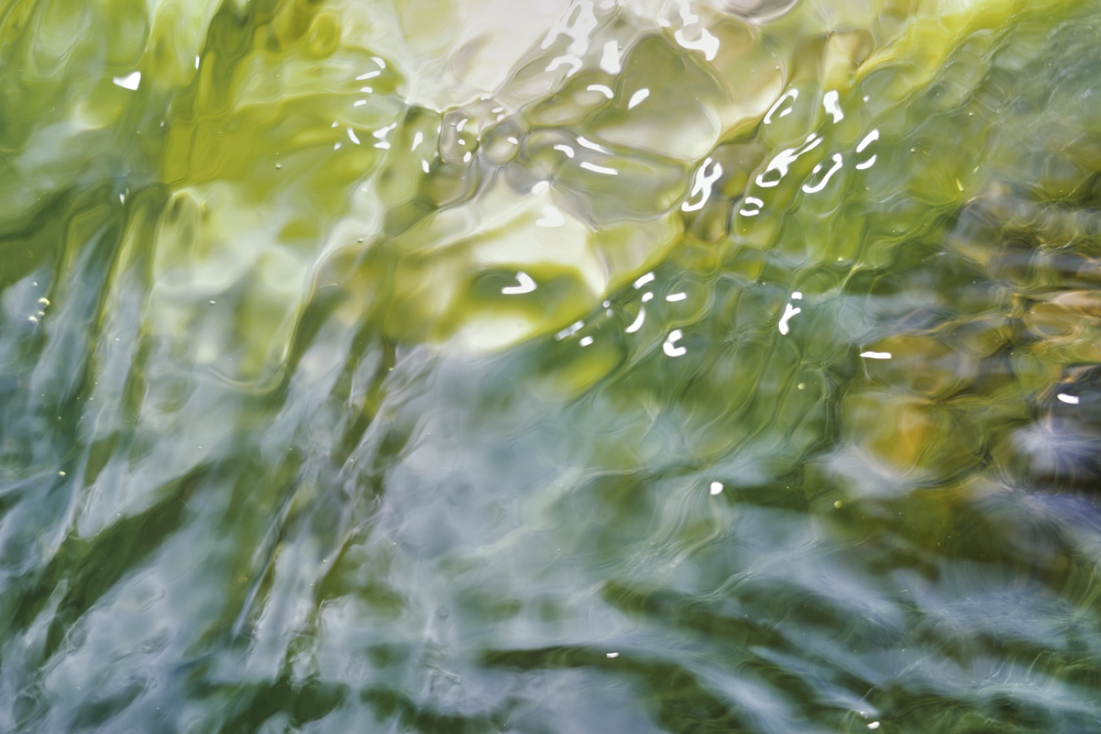 biophilia 76