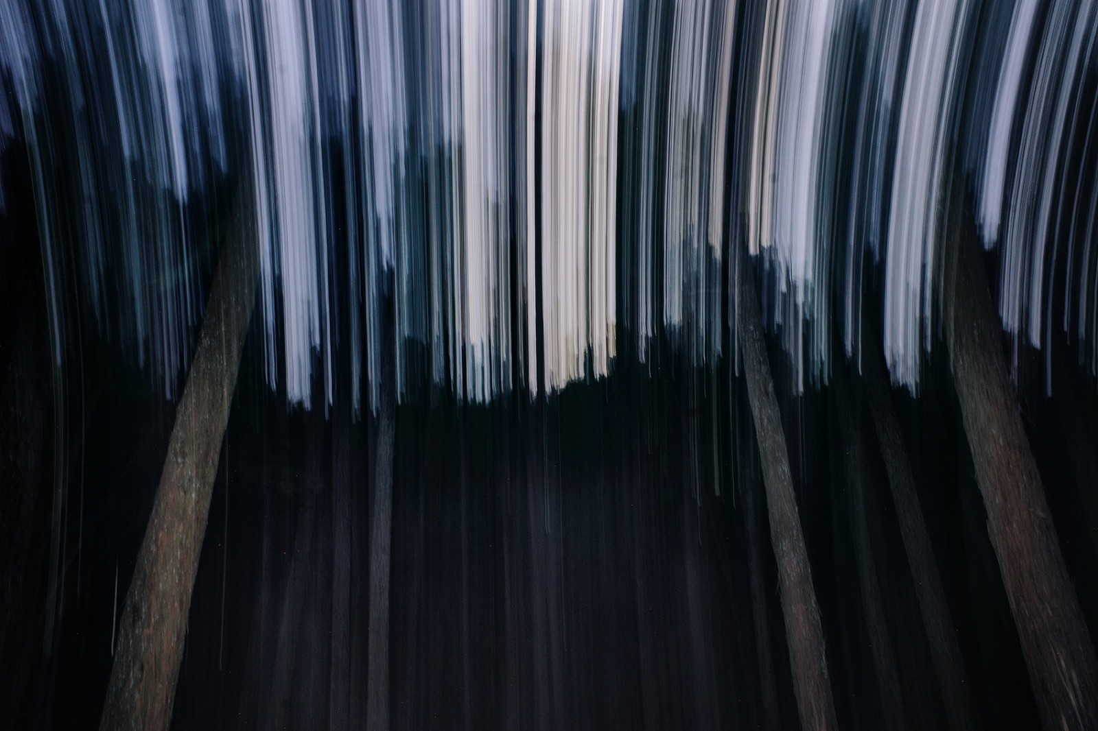 biophilia 83