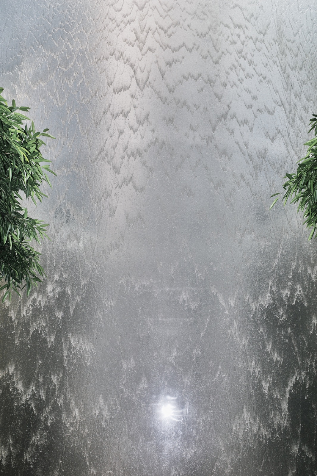 biophilia 106