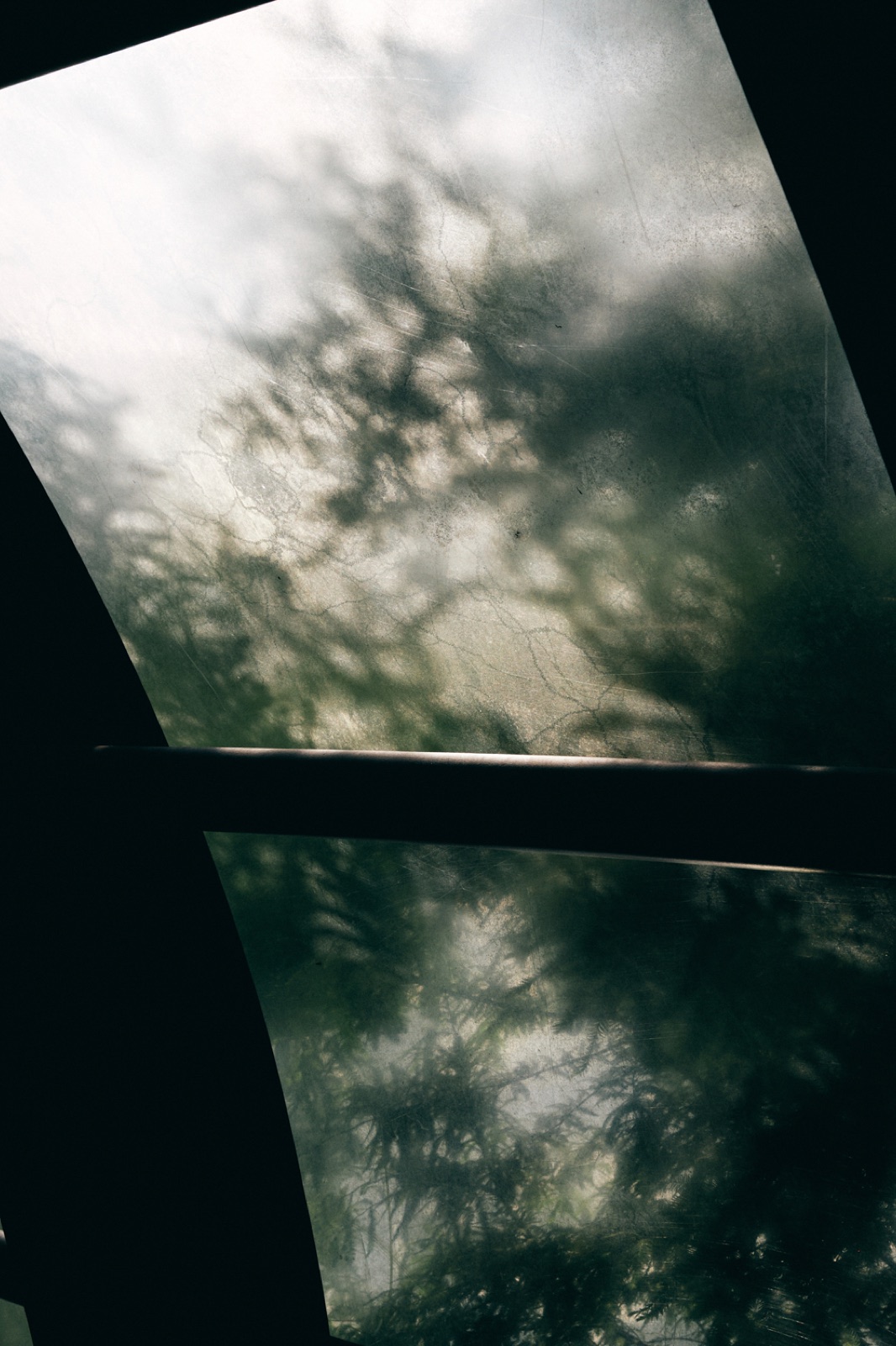 biophilia 112