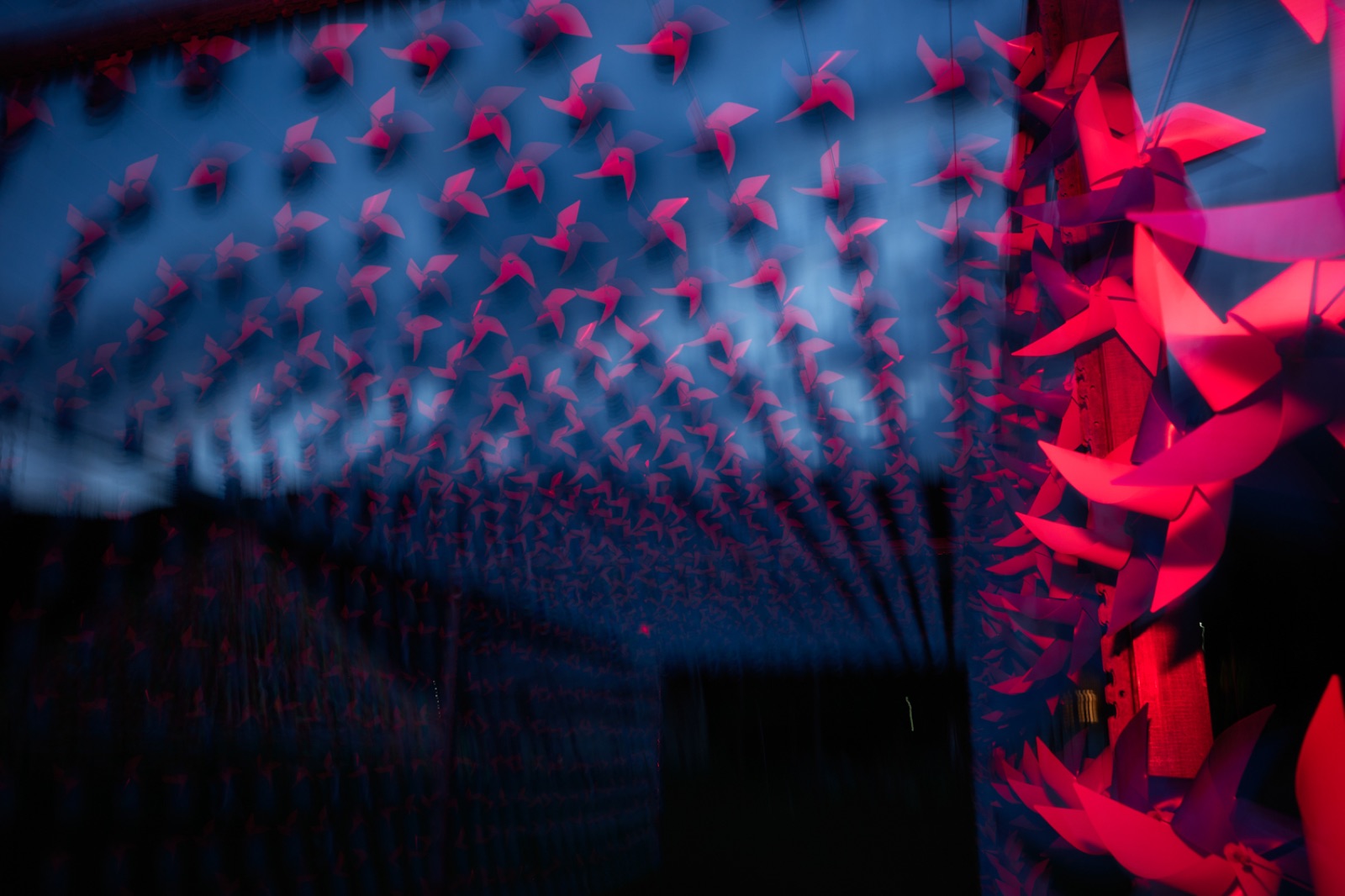 biophilia 121
