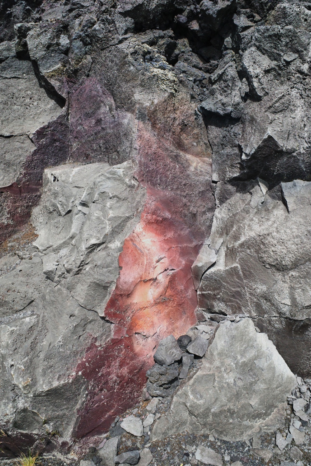 biophilia 127