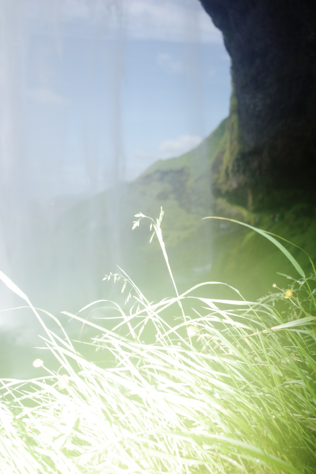 biophilia 128