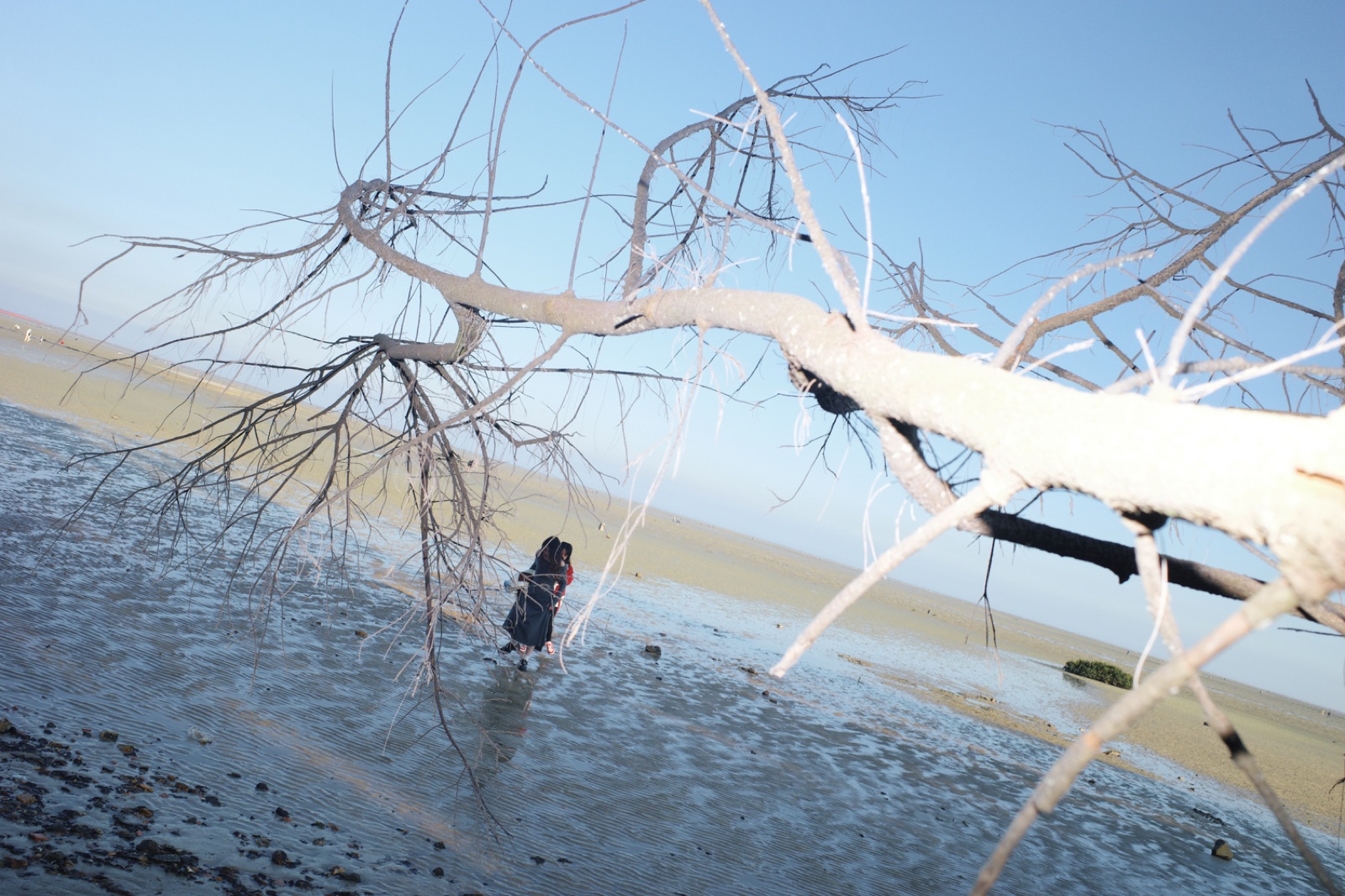 biophilia 134
