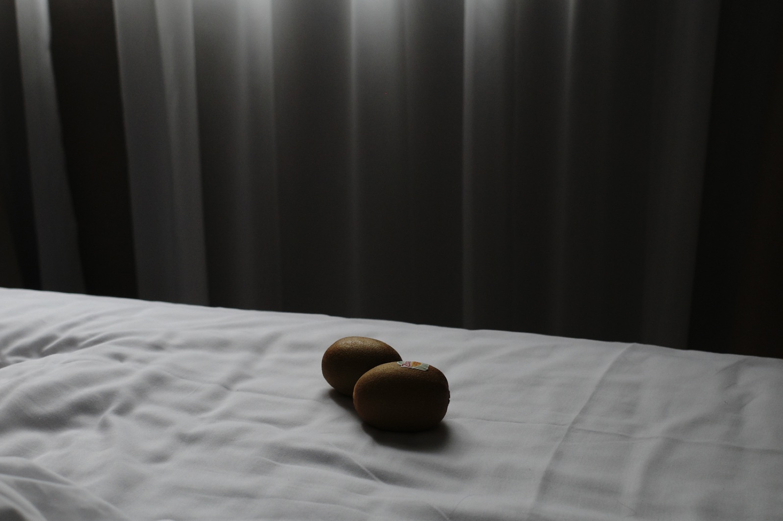 biophilia 142