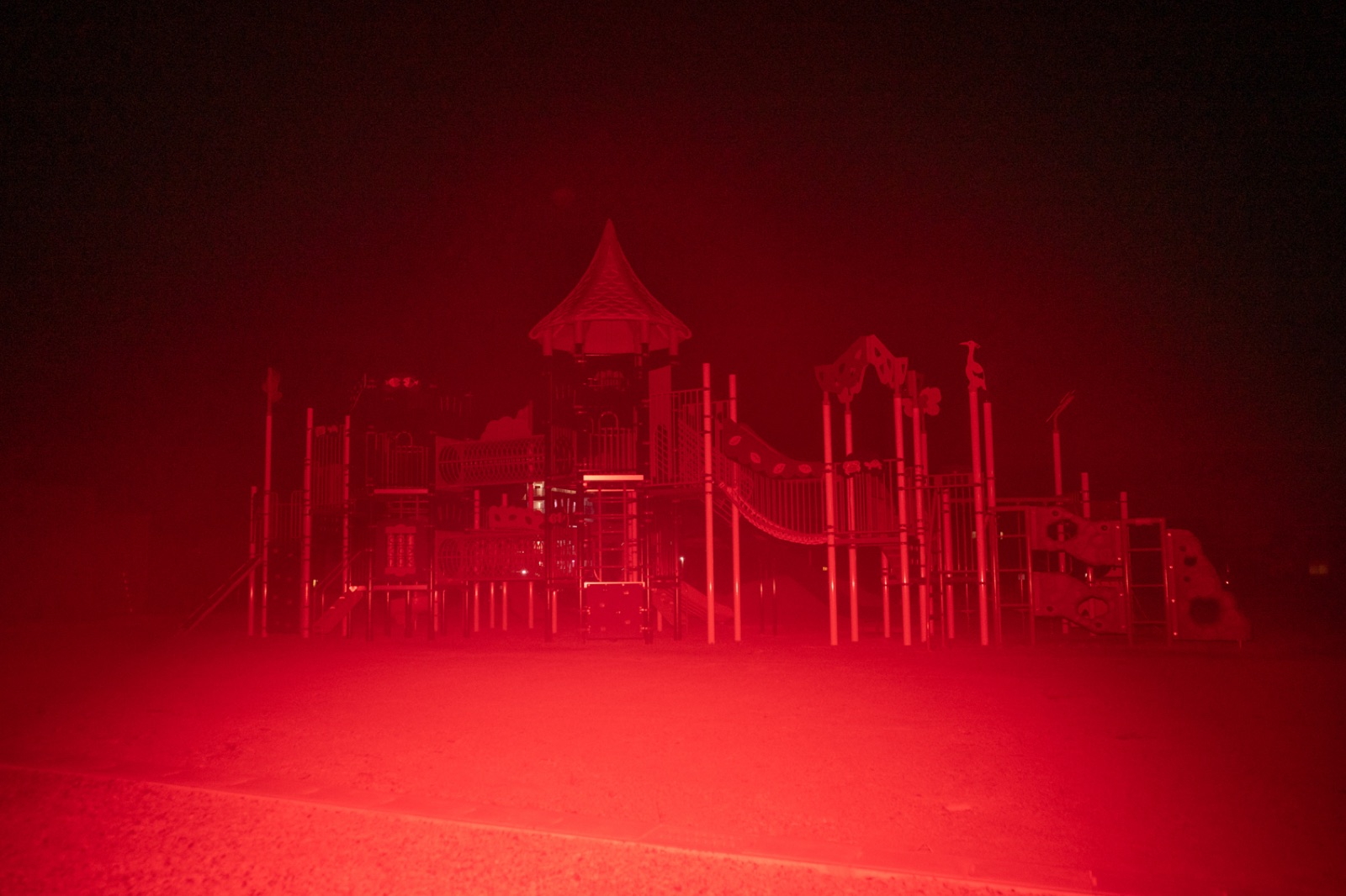 biophilia 146