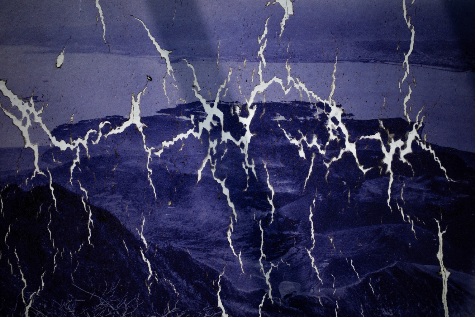 biophilia 148