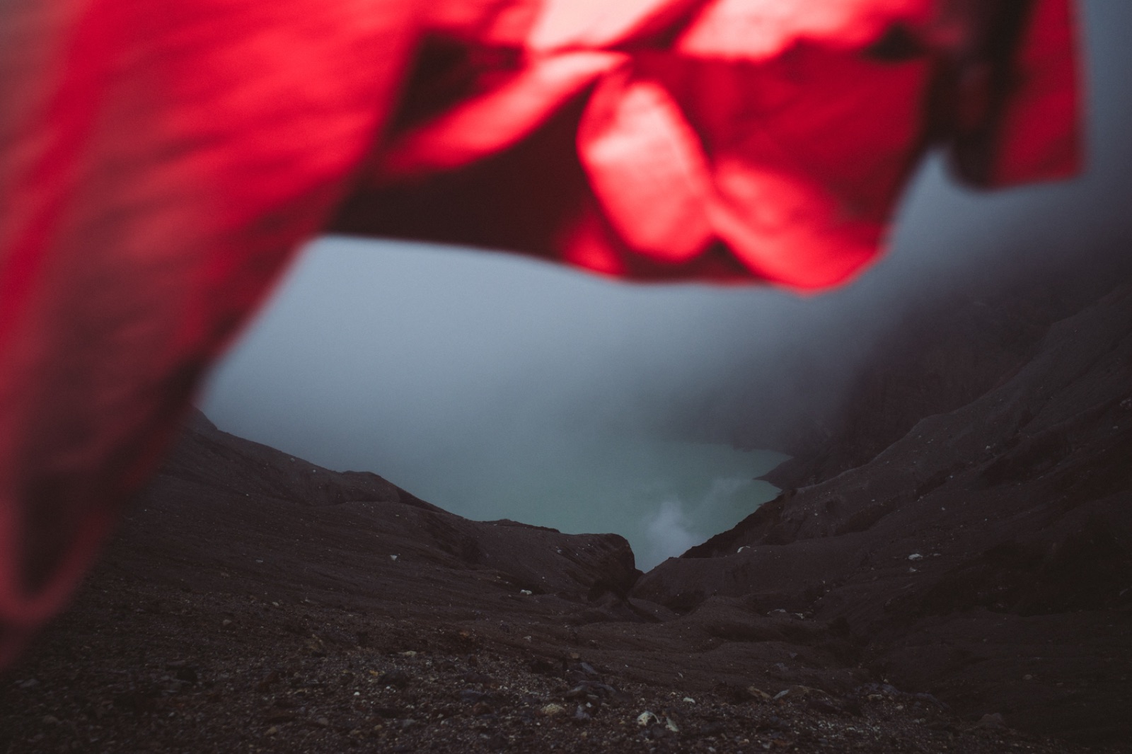 biophilia 149