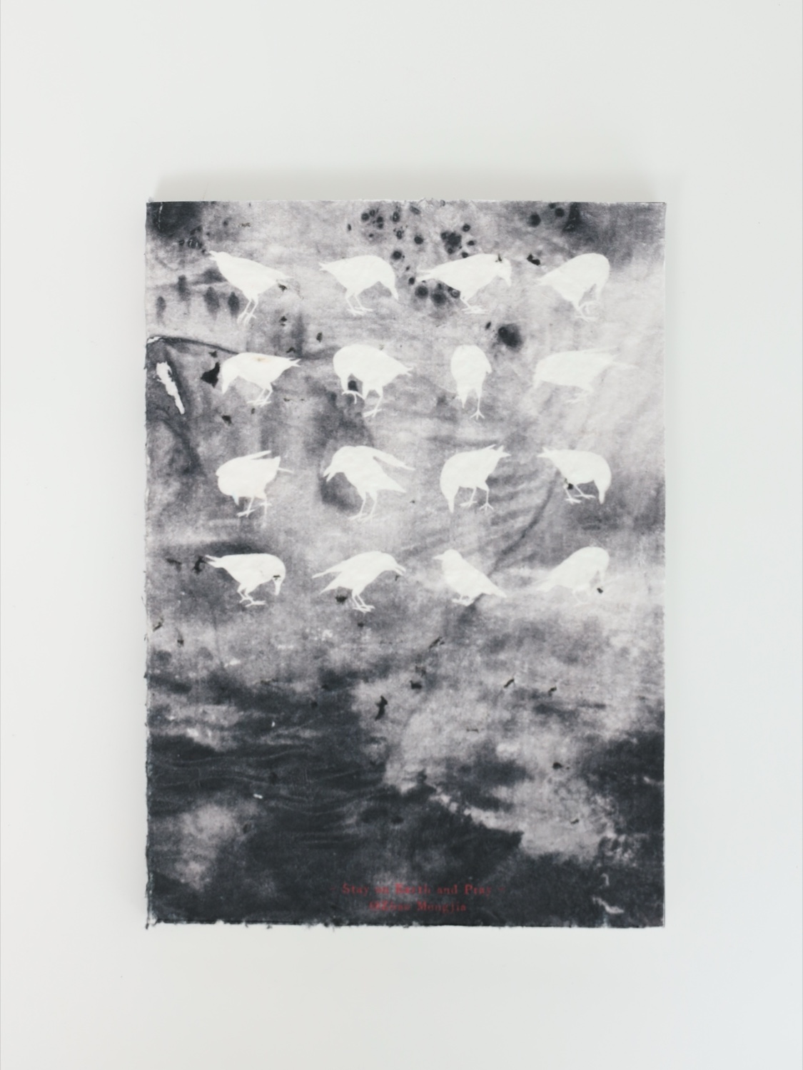 Stay on Earth and Pray — Photography Book