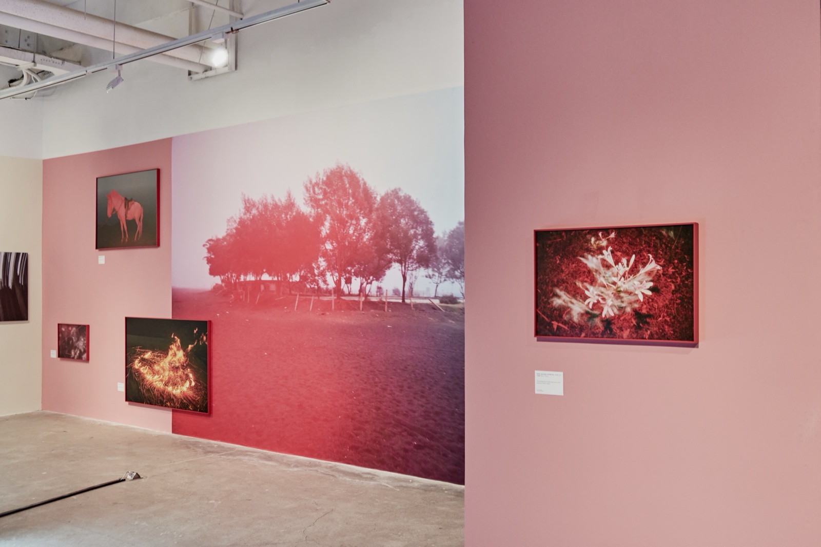 Jimei x Arles: “Unconscious Eyes”, Three Shadows Photography Art Centre, Xiamen, 2024