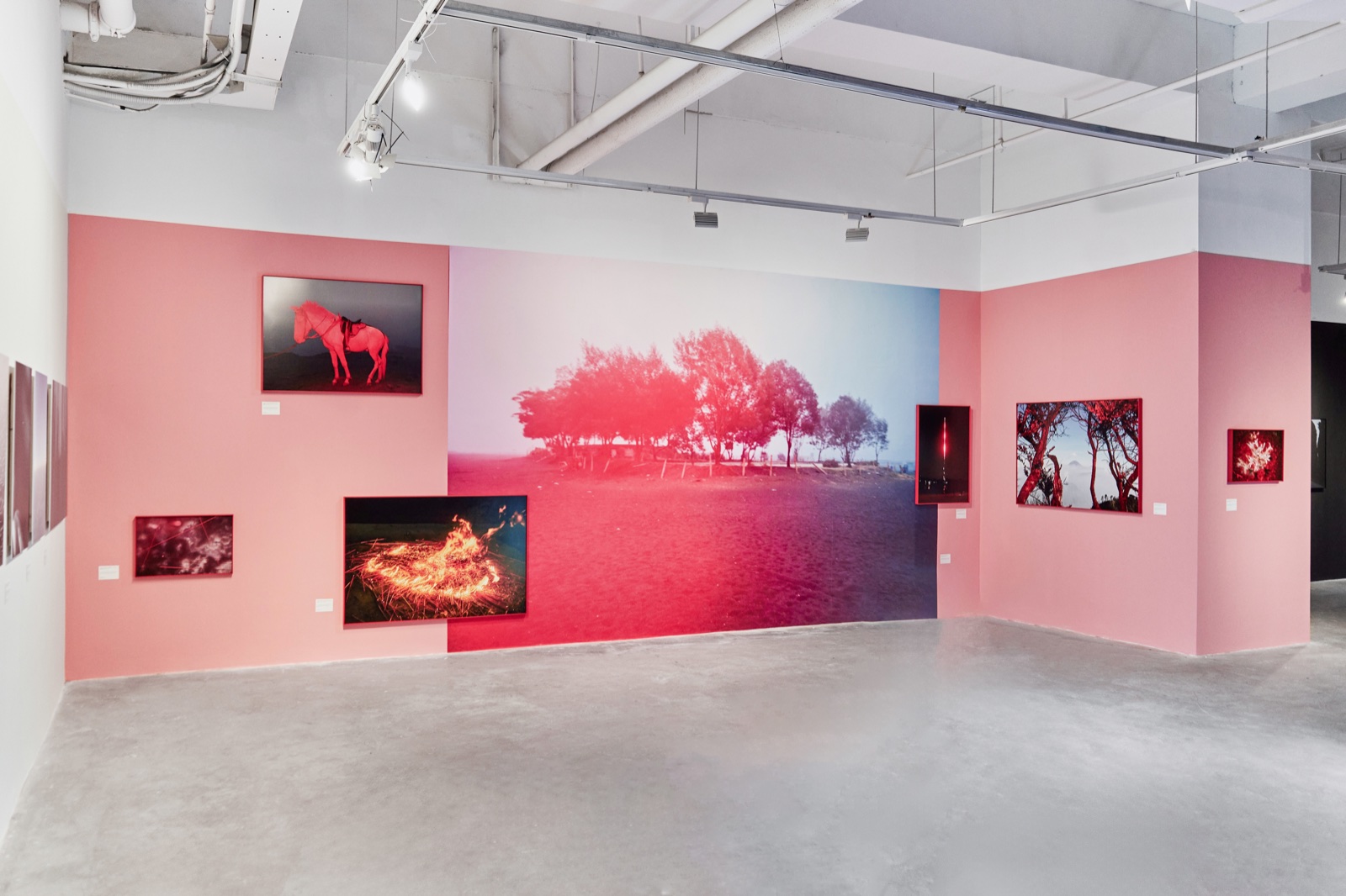 Jimei x Arles: “Unconscious Eyes”, Three Shadows Photography Art Centre, Xiamen, 2024