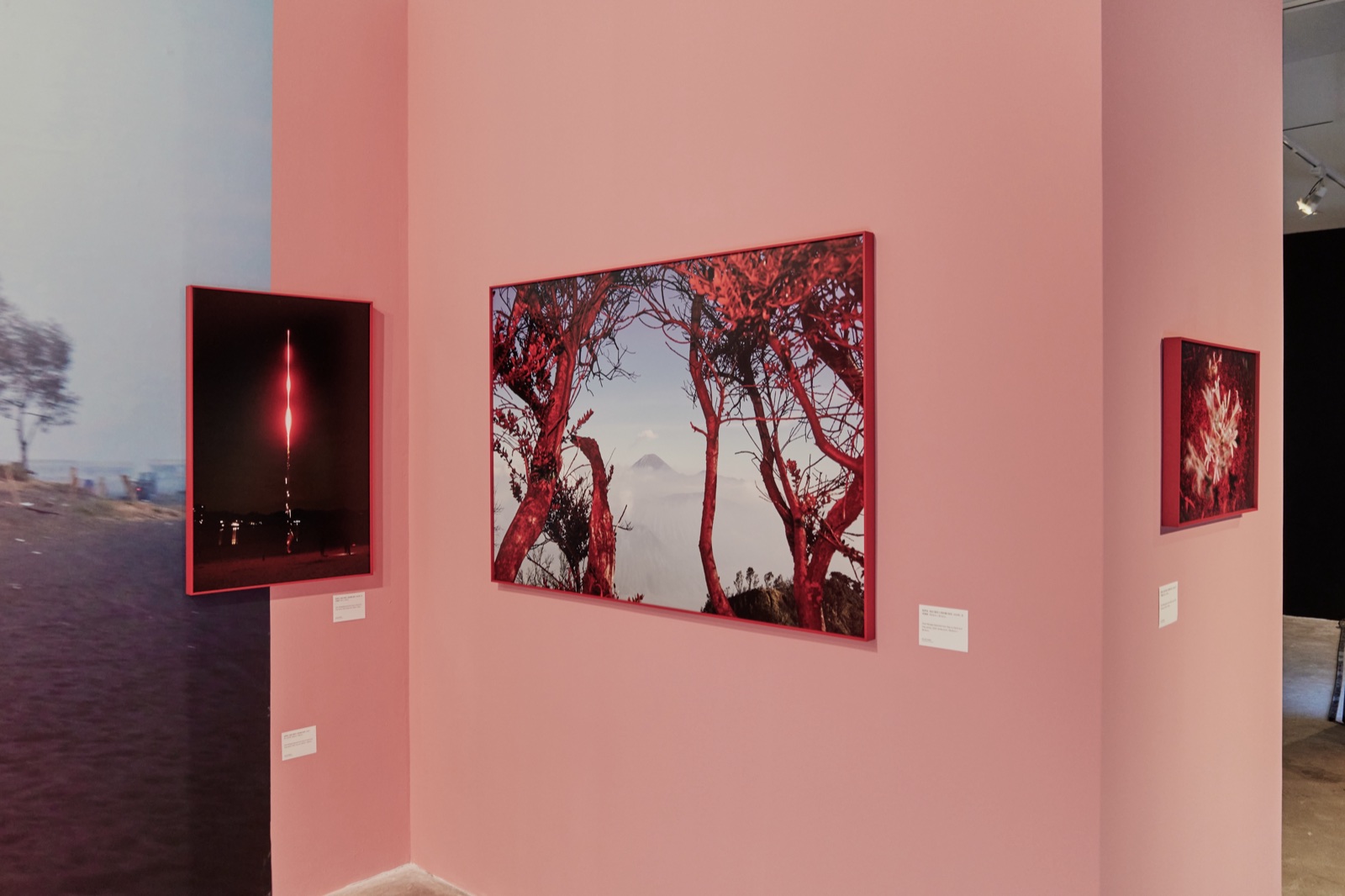 Jimei x Arles: “Unconscious Eyes”, Three Shadows Photography Art Centre, Xiamen, 2024