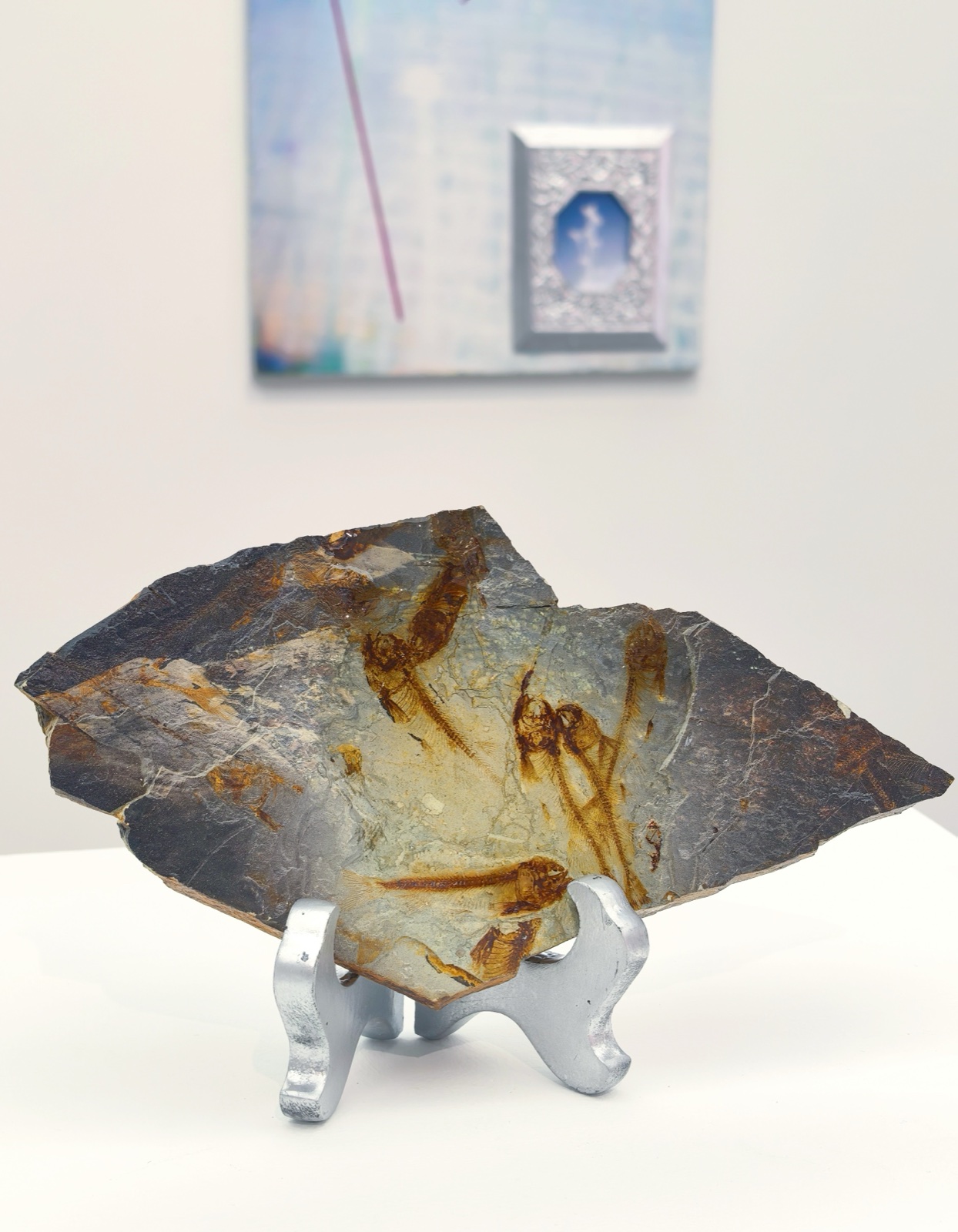 “Negative No. 25”, 11 Contemporary Art Center, Shenzhen, 2025