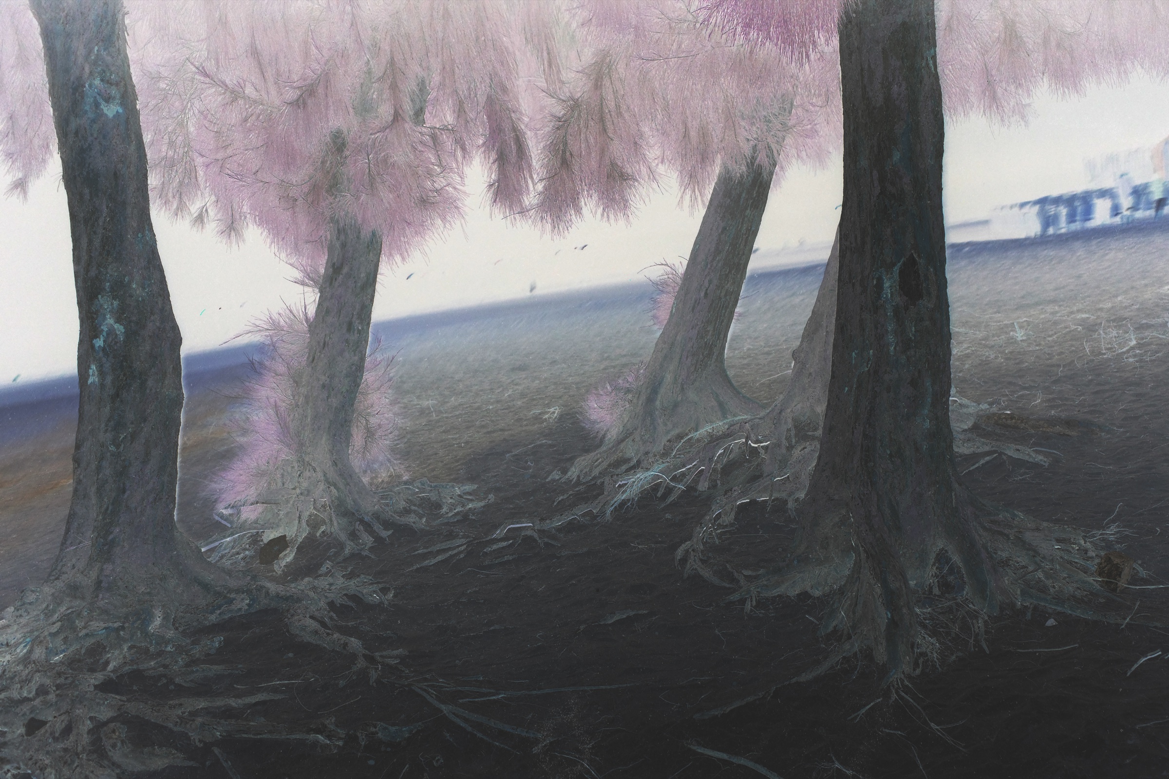 Biophilia