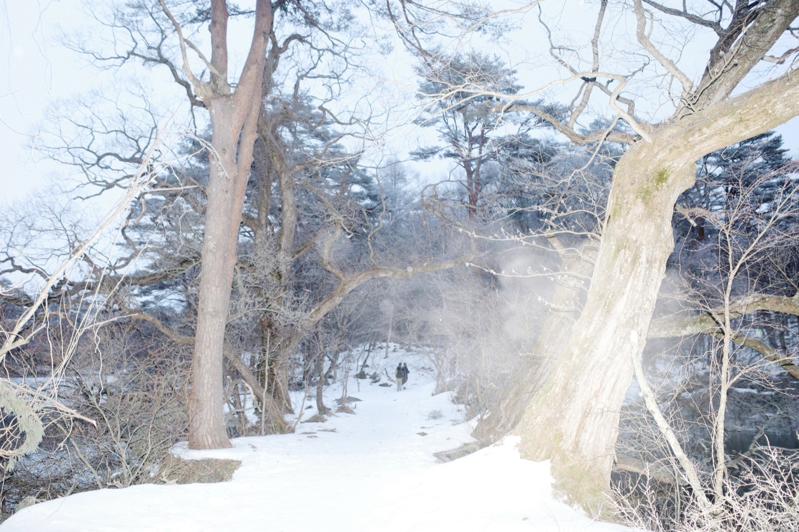 Sleep at the Junction of Day and Night — a twilight landscape