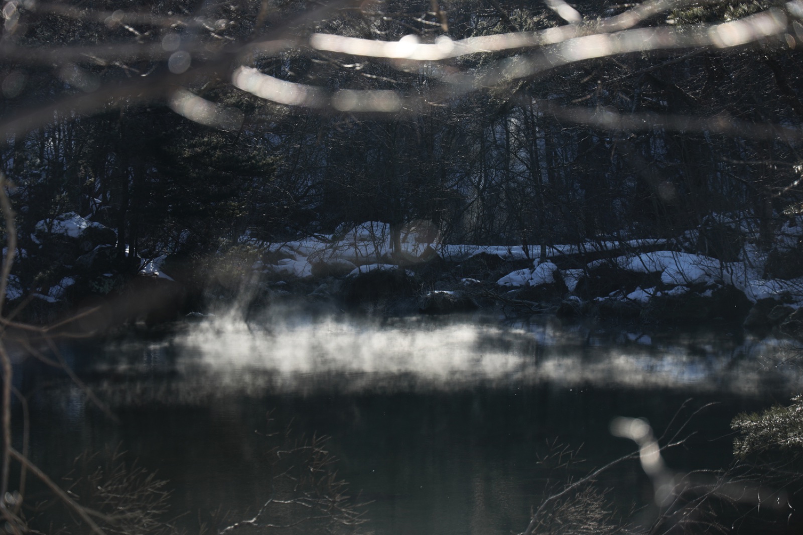 Morning Mist (2)