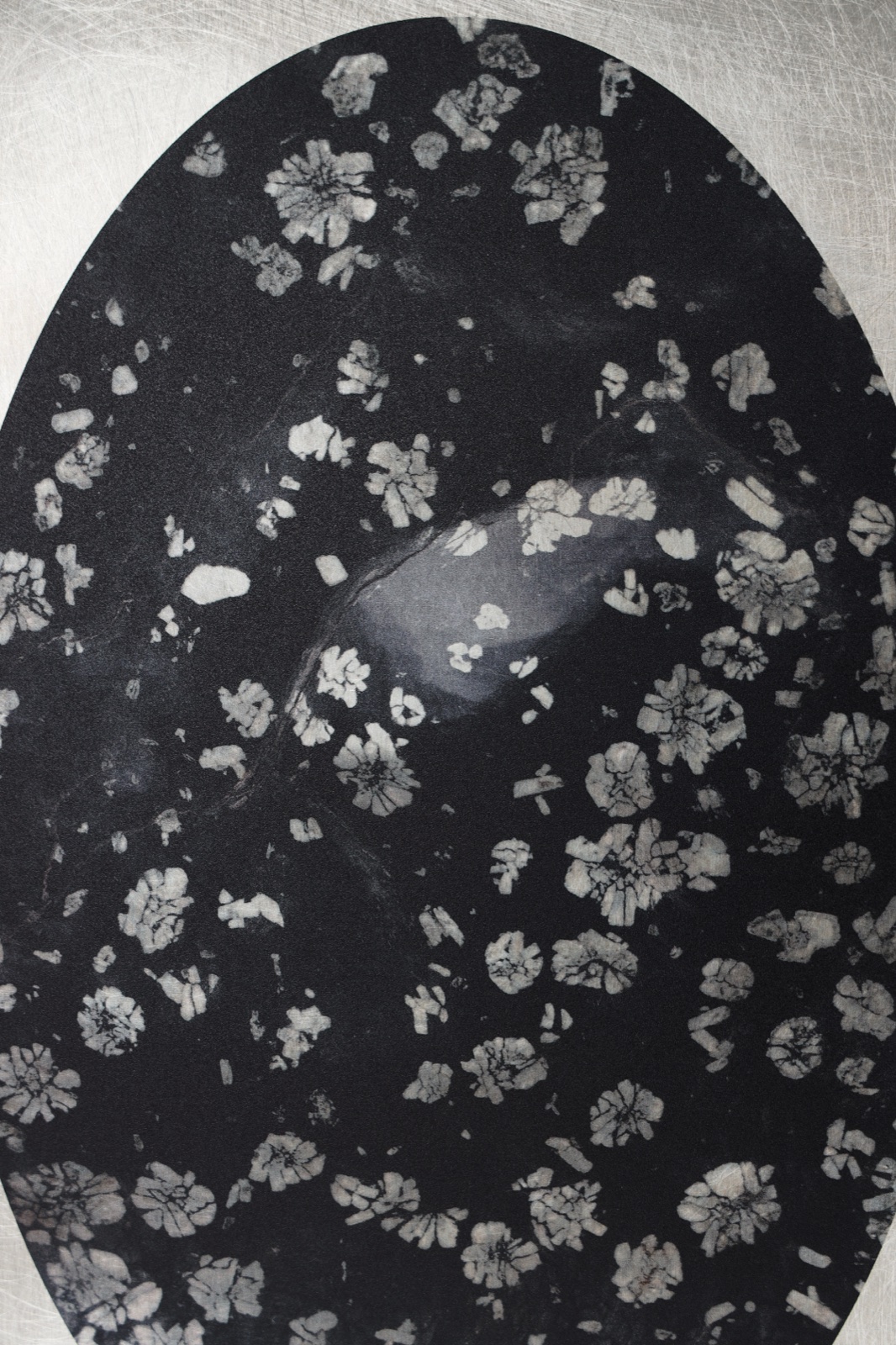Peony Stone (4)