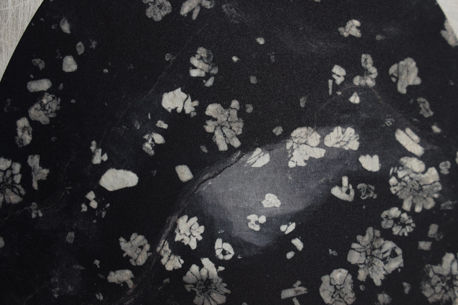 Peony Stone (5)