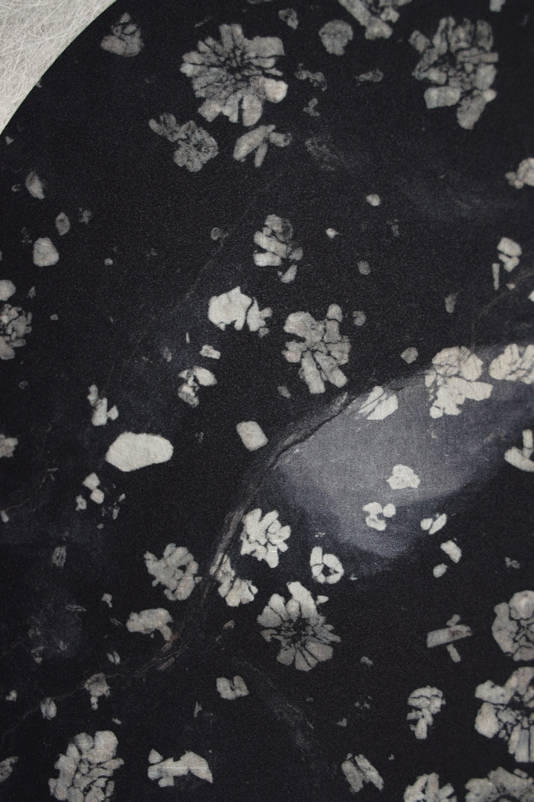 Peony Stone (7)