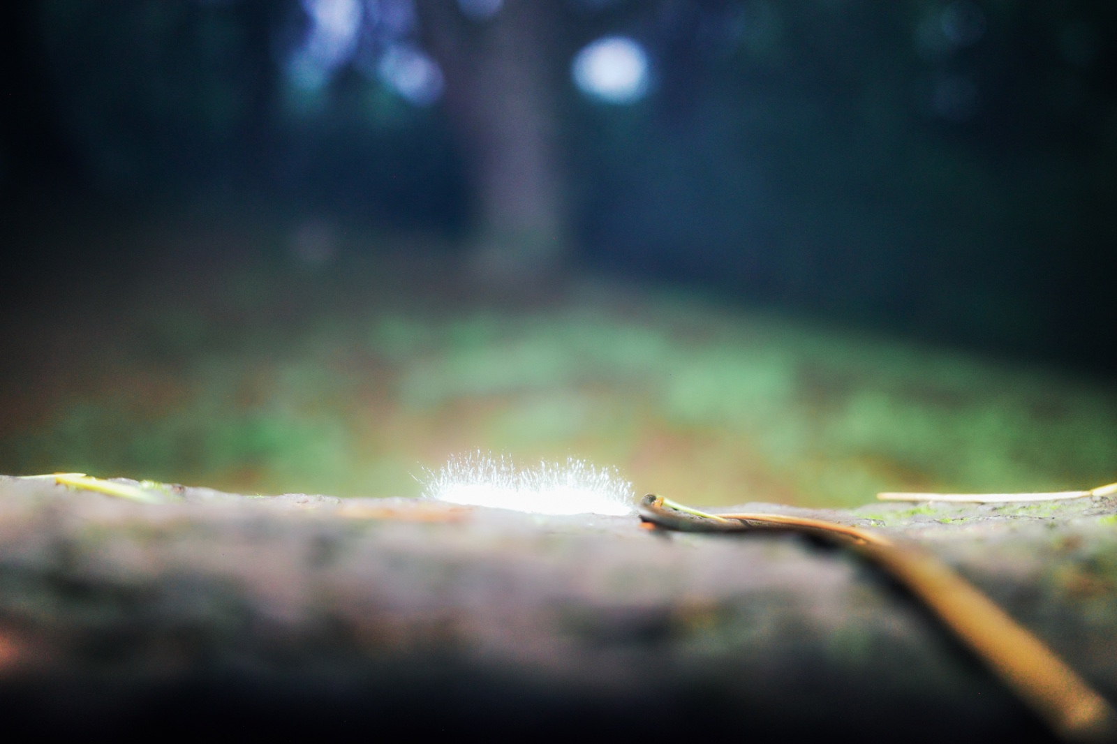 Rebirth (2)