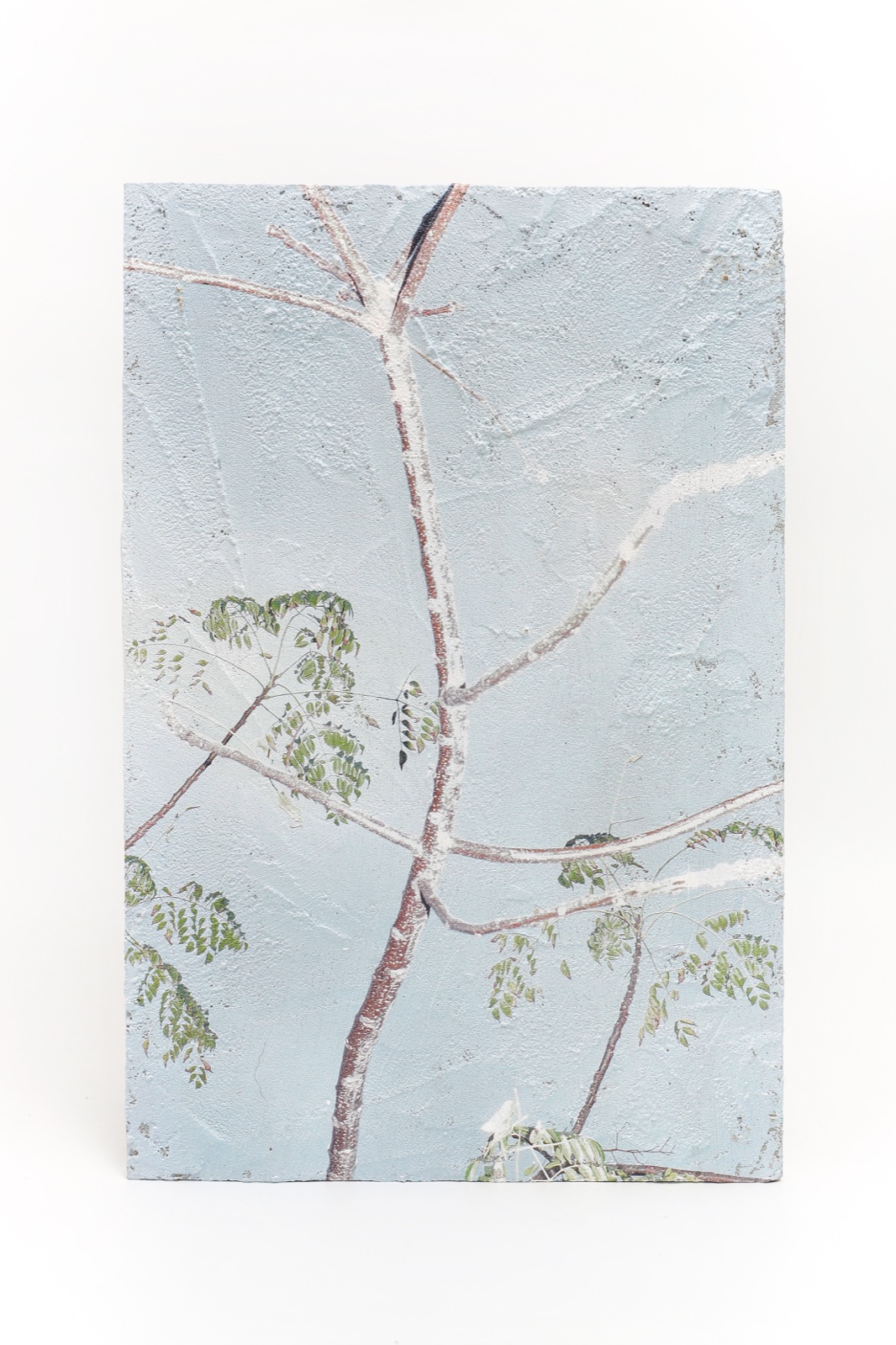 The Dancing Tree (1)