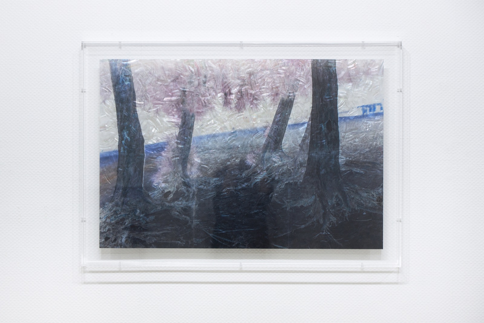 The Tree with Pinkish Hair (1)