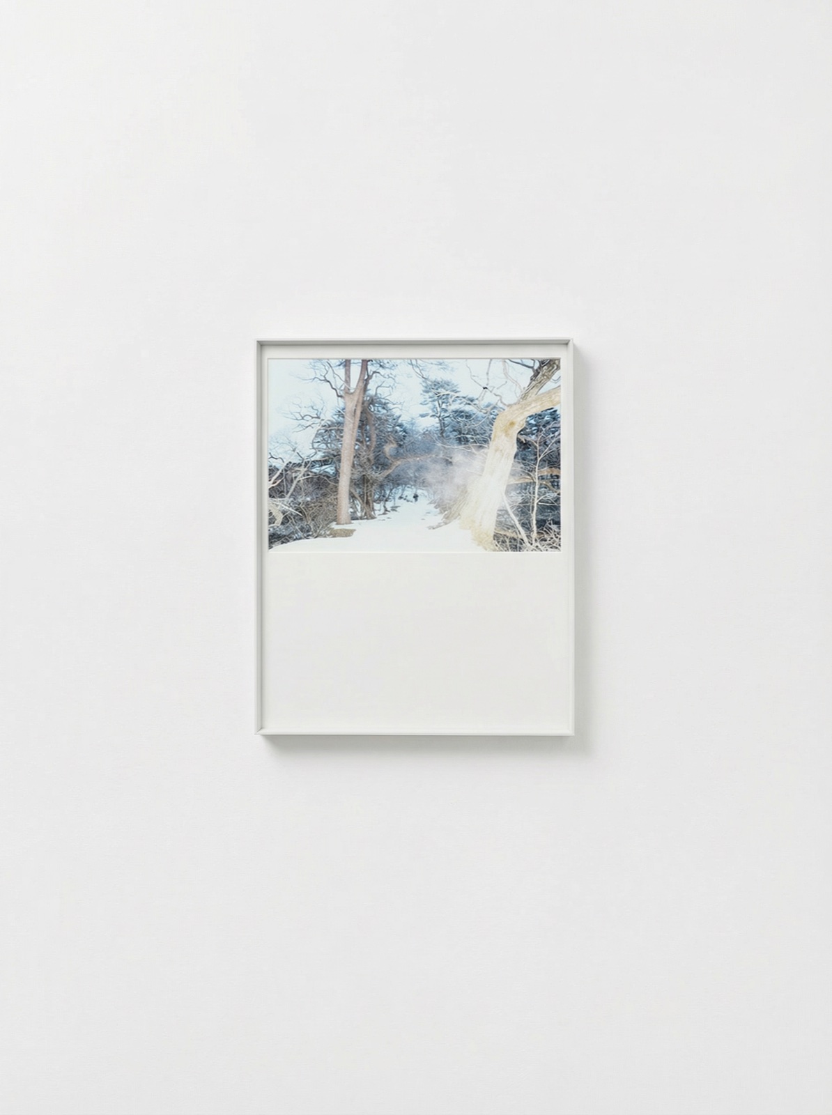 White Rift (1)