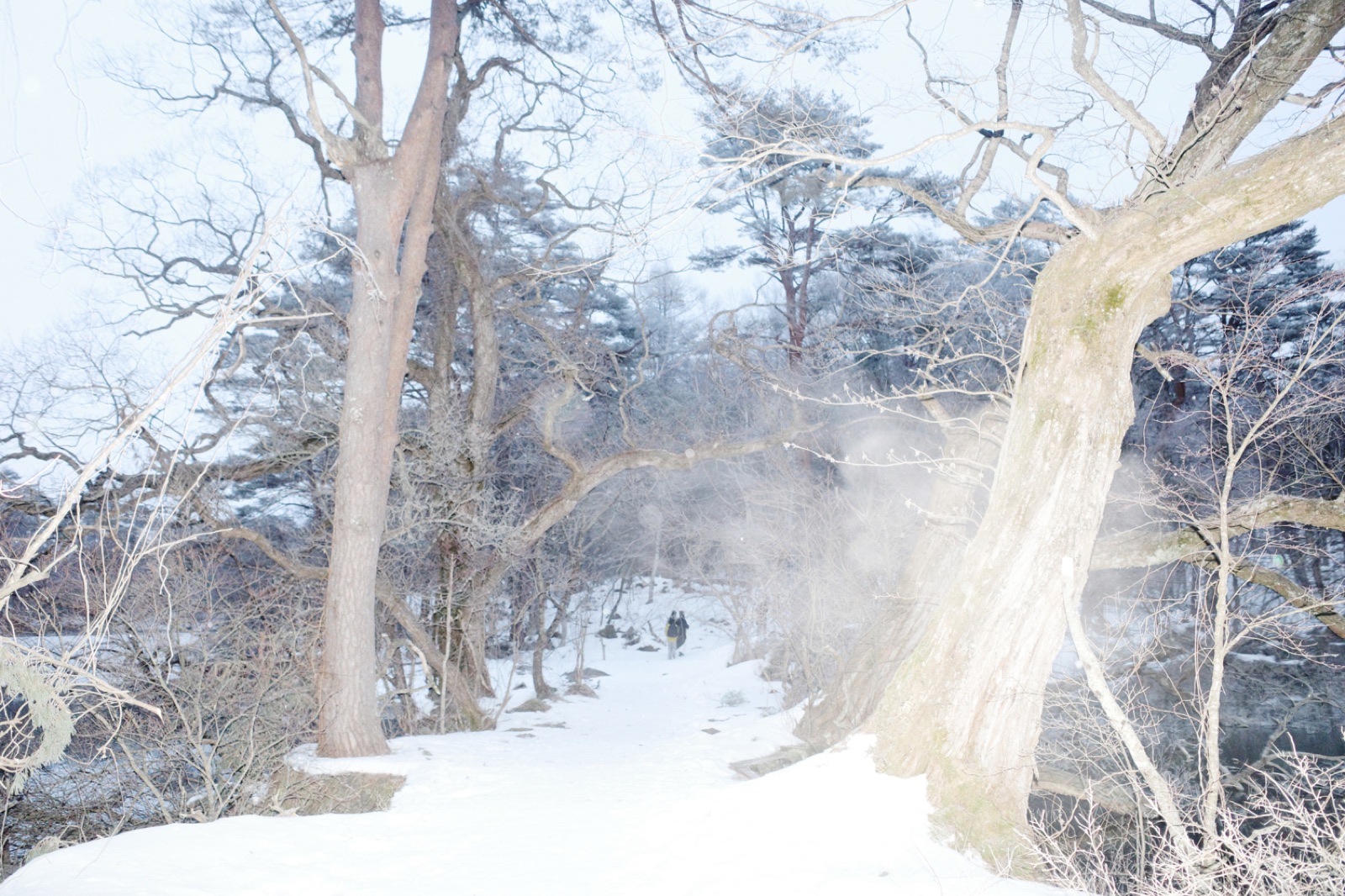 White Rift (2)