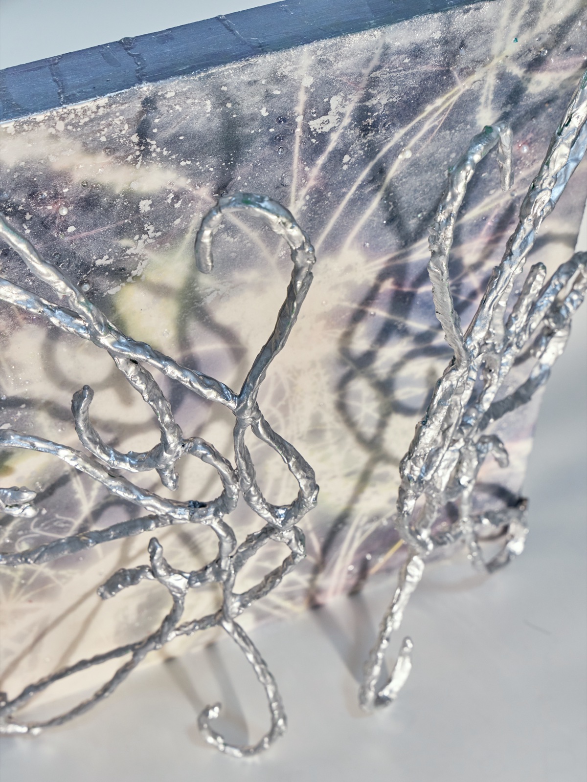 Willows Outside the Window (2)