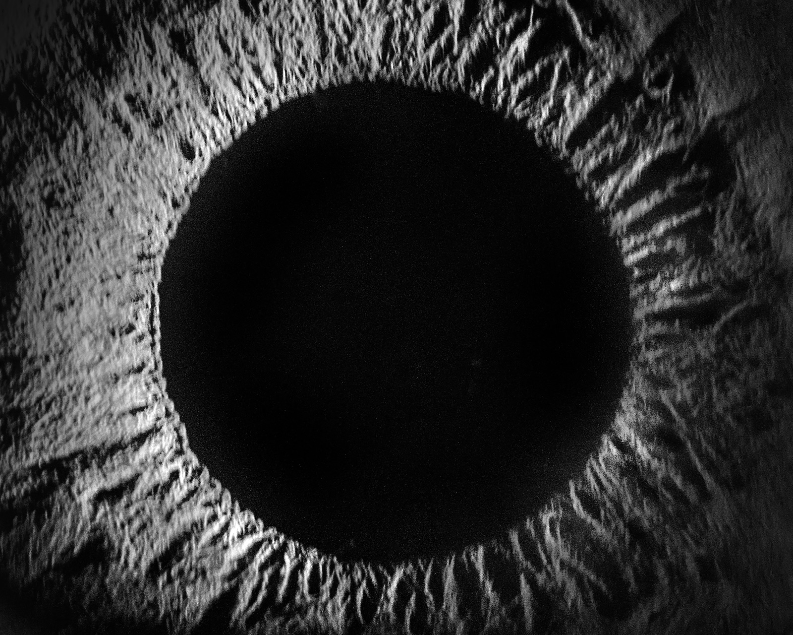 Somatic Nebula No.12
