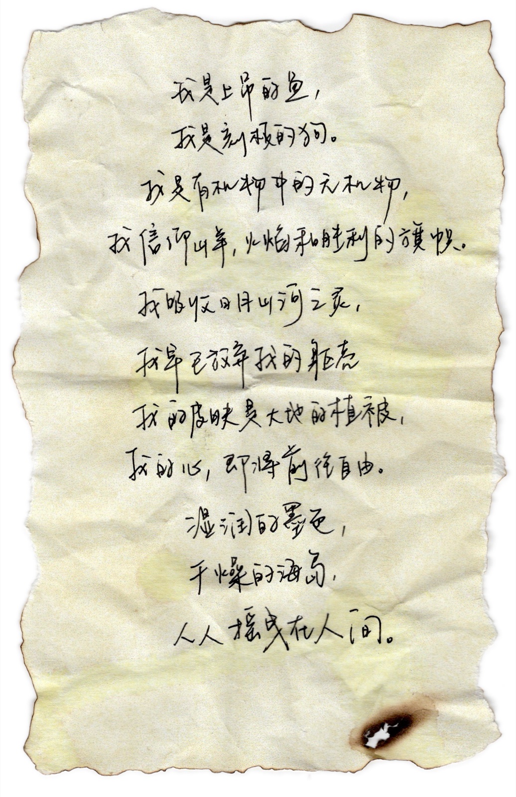 Stay on Earth and Pray No.26
